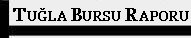 Tu�la Bursu Raporu!