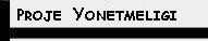 Proje Yonetmeli�i!